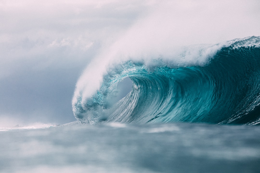 Ride the Waves: Mastering Base Chain Ecosystem Rotations